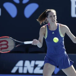 Wilson Natural Gut String Set 12,2m -Tennis Gear Shop 02009000 62